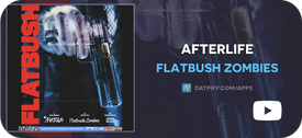 Flatbush Zombies - Afterlife